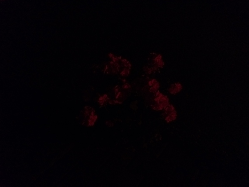 Vodafone Smart ultra 7