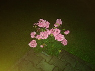 Vodafone Smart ultra 7