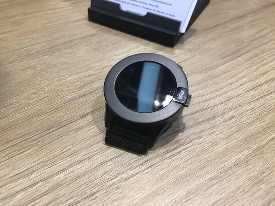 Voixatch Watch prototype