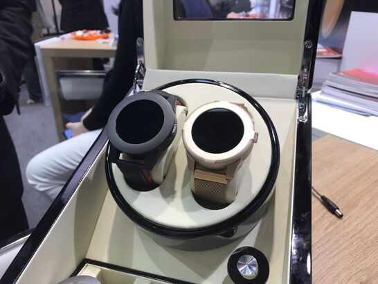 Voixatch Watch prototype