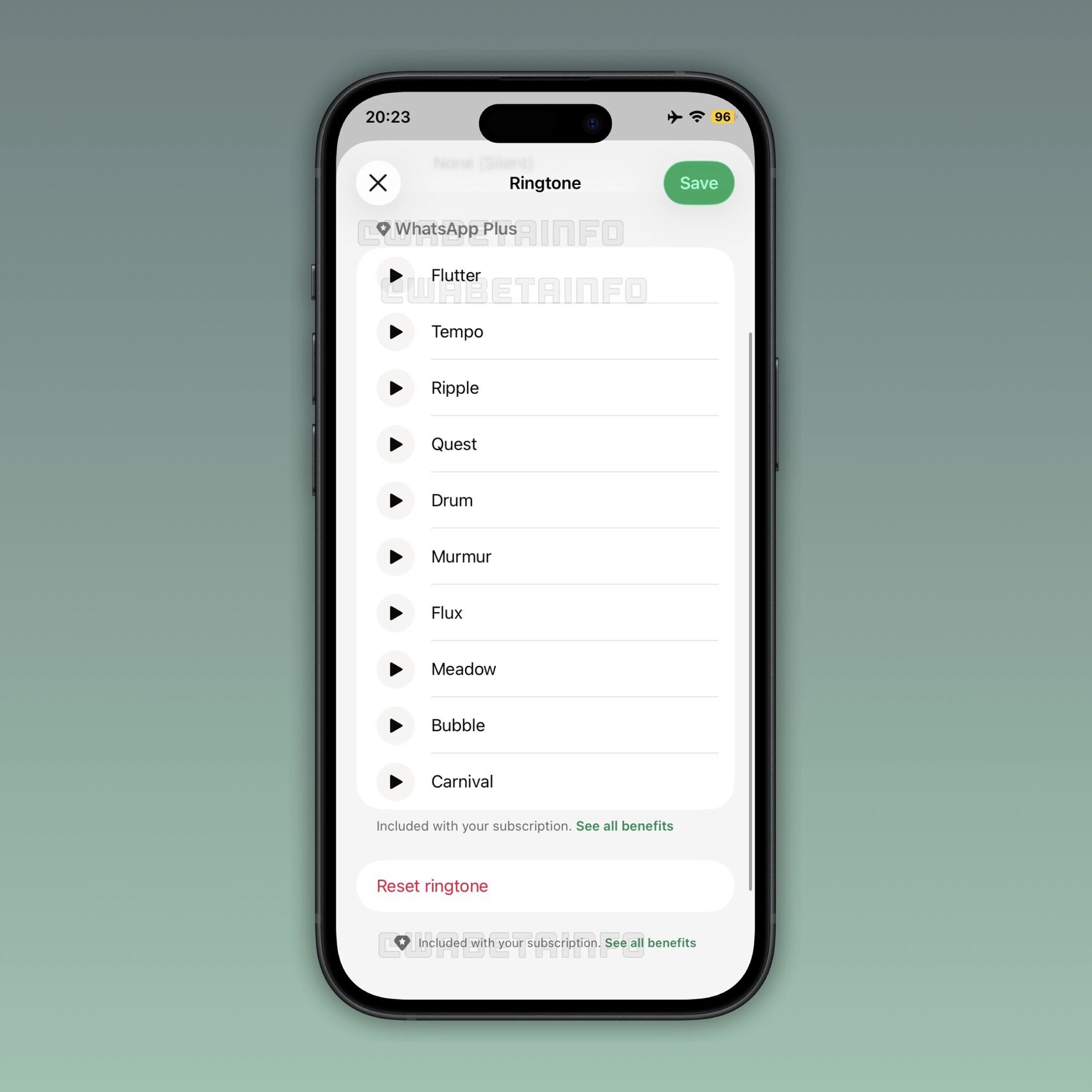 WhatsApp Plus