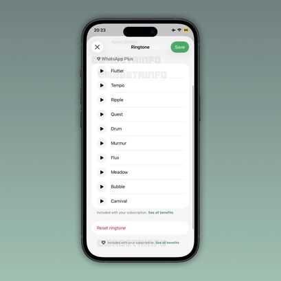 WhatsApp Plus