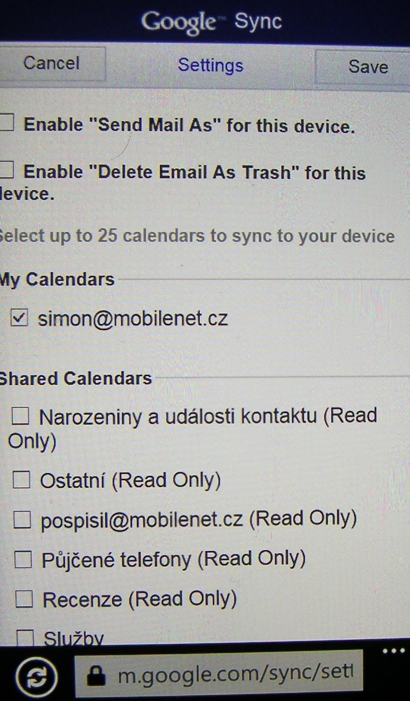 Windows Phone 7.5 Google Sync