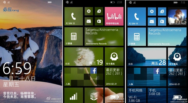Wp 8.1 leak