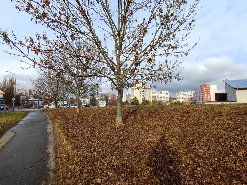 Xiaomi 11 Lite 5G NE