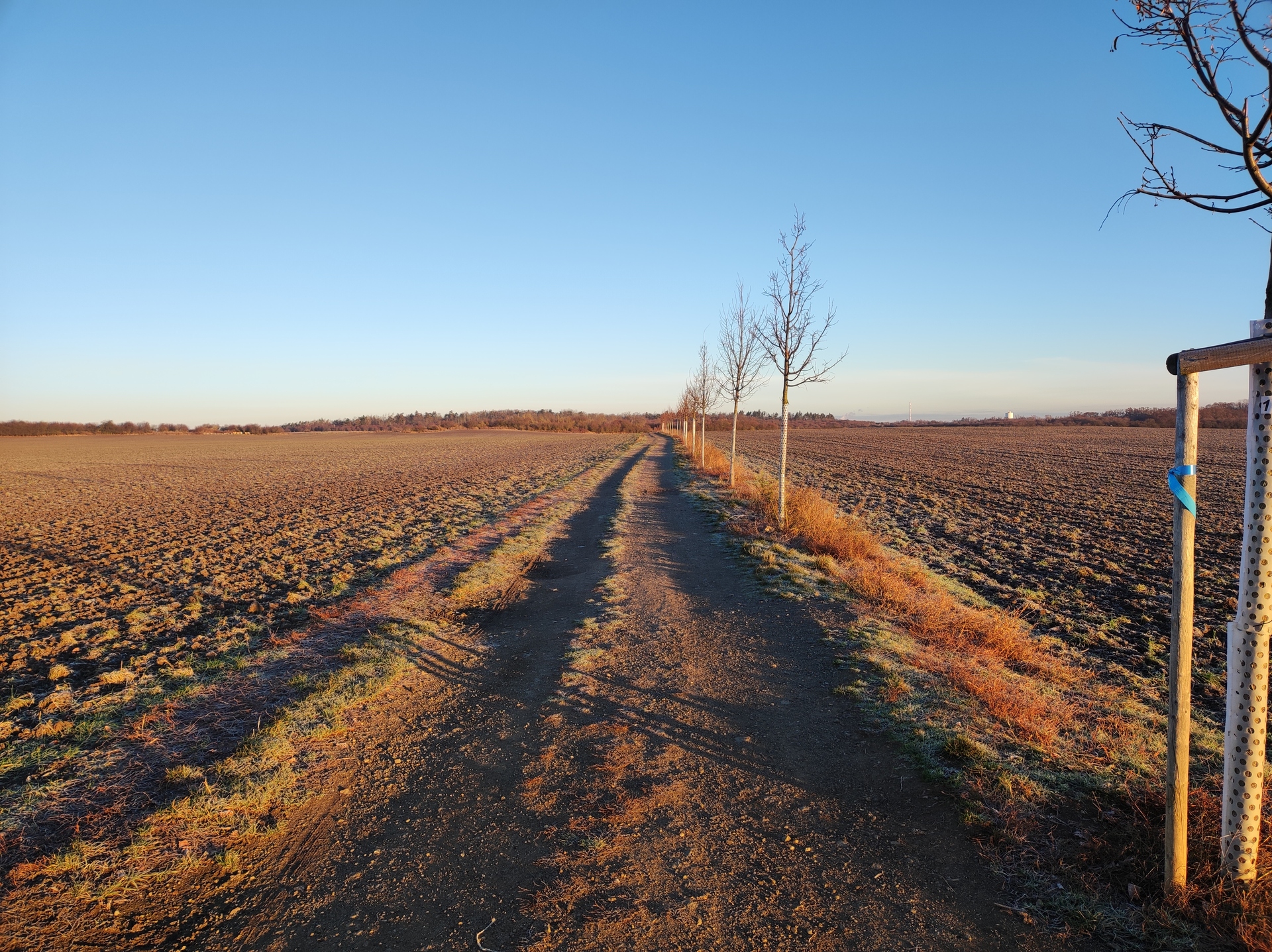 Xiaomi 11 Lite 5G NE