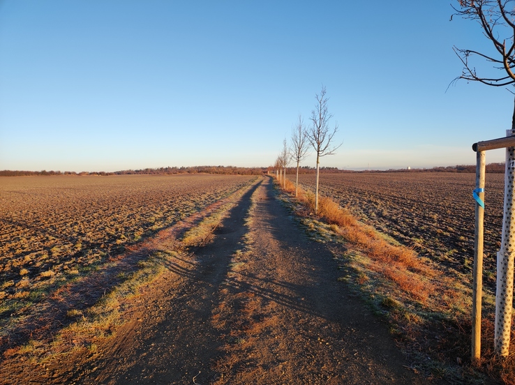 Xiaomi 11 Lite 5G NE