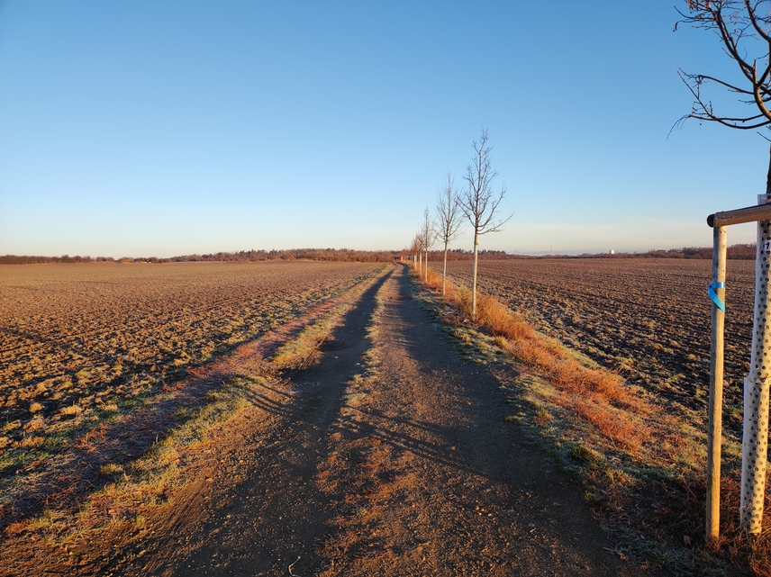 Xiaomi 11 Lite 5G NE