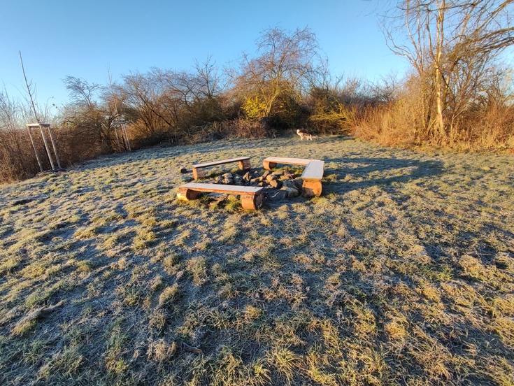 Xiaomi 11 Lite 5G NE