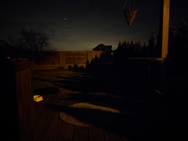 Xiaomi 11 Lite 5G NE