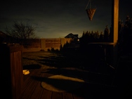 Xiaomi 11 Lite 5G NE