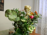 Xiaomi 11 Lite 5G NE