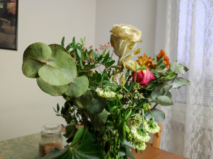 Xiaomi 11 Lite 5G NE