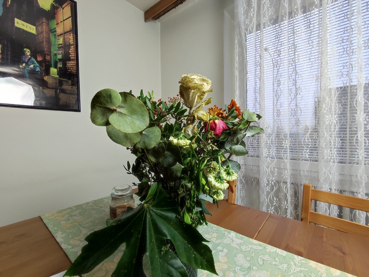 Xiaomi 11 Lite 5G NE