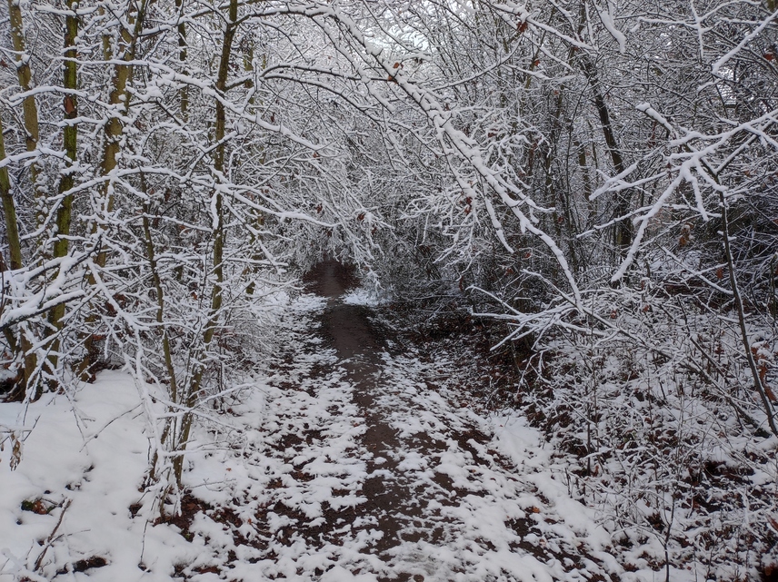 Xiaomi 11 Lite 5G NE