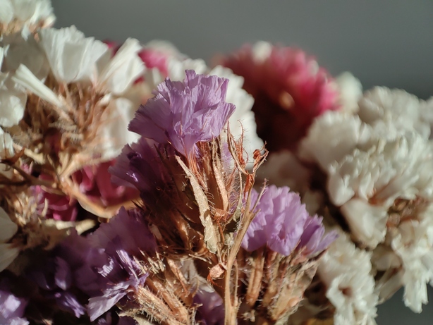 Xiaomi 11 Lite 5G NE