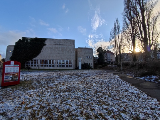 Xiaomi 11 Lite 5G NE