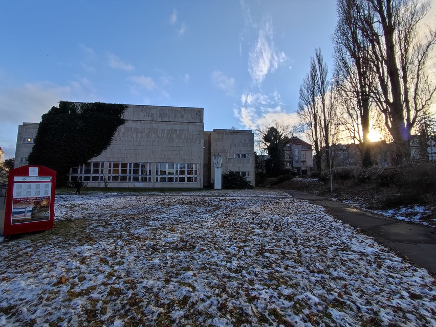 Xiaomi 11 Lite 5G NE