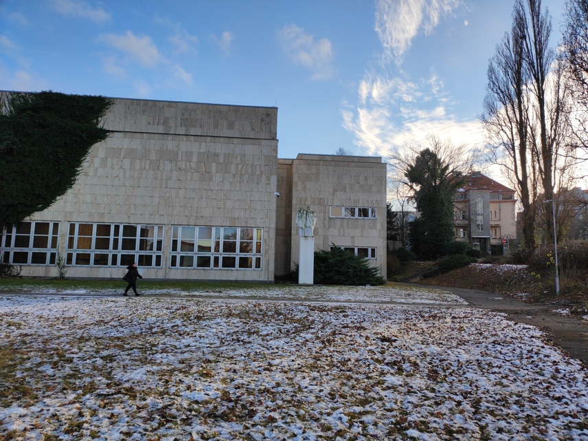 Xiaomi 11 Lite 5G NE