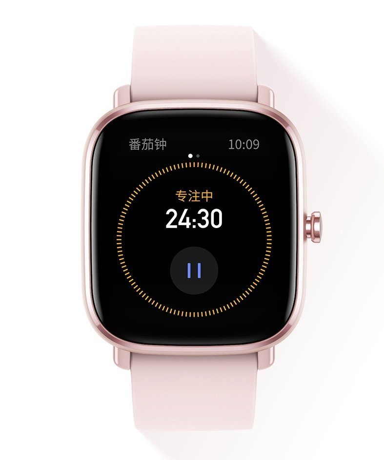 xiaomi gts 2 mini