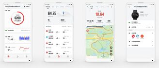 Xiaomi Amazfit Pace 2