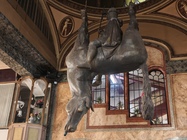 Xiaomi Leica Leitzphone (2026)