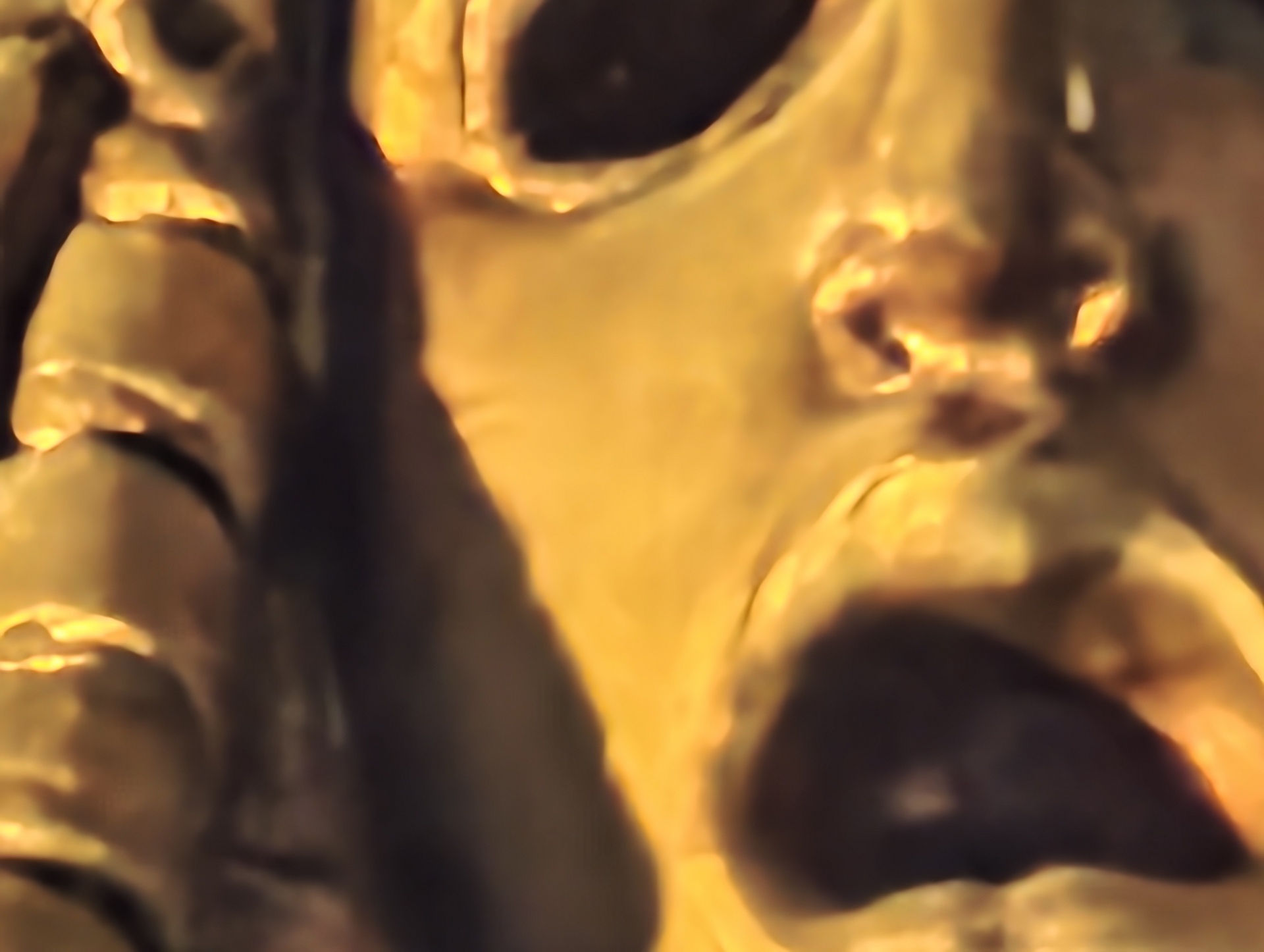 Xiaomi Leica Leitzphone (2026)