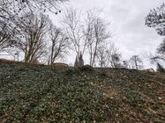 Xiaomi Leica Leitzphone (2026)