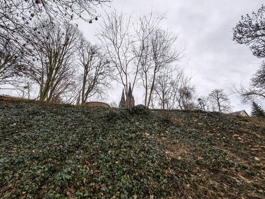 Xiaomi Leica Leitzphone (2026)