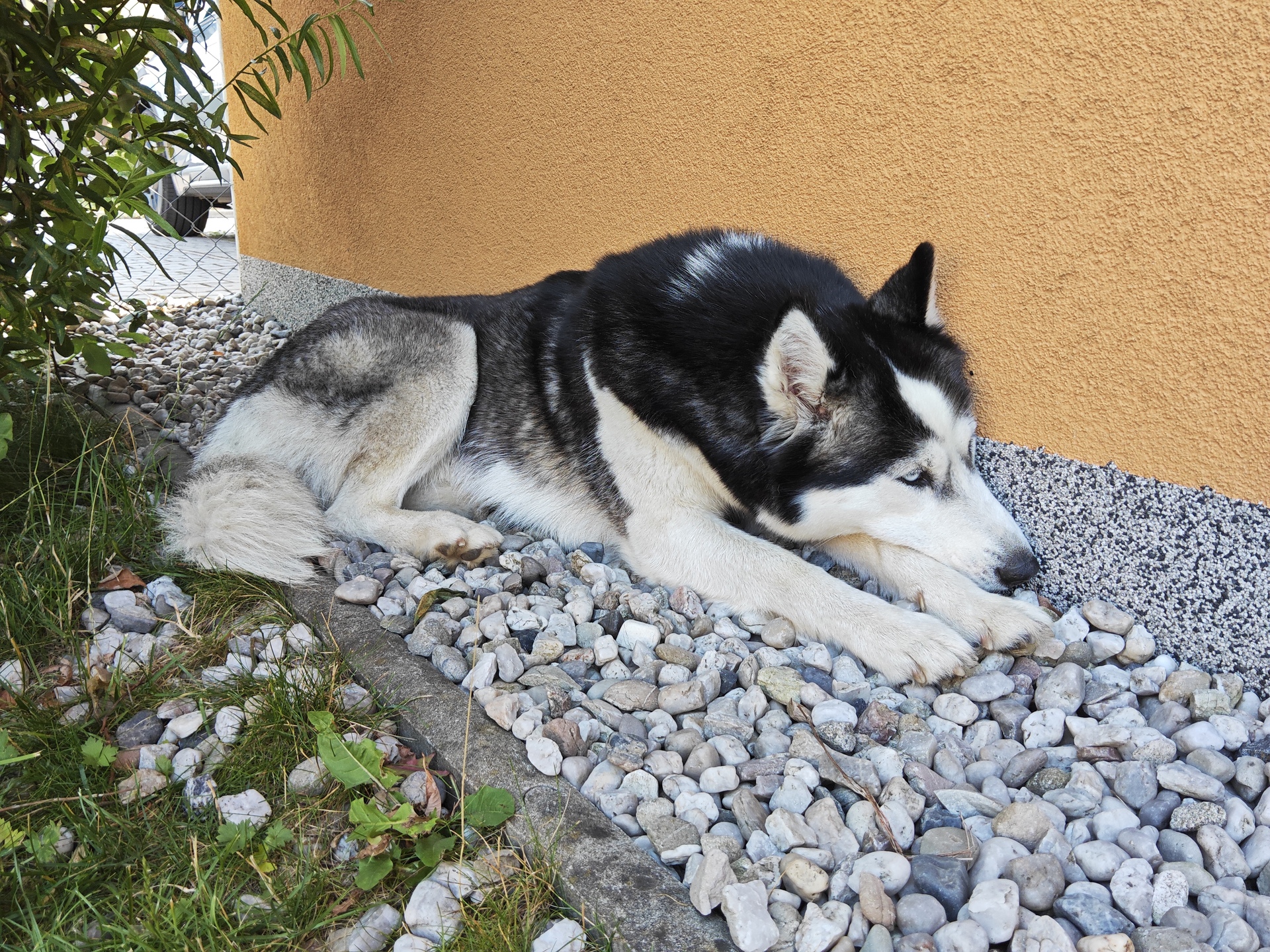 Xiaomi Pad 6S Pro 12.4