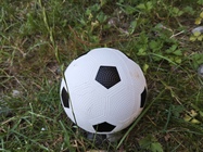 Xiaomi Pad 6S Pro 12.4