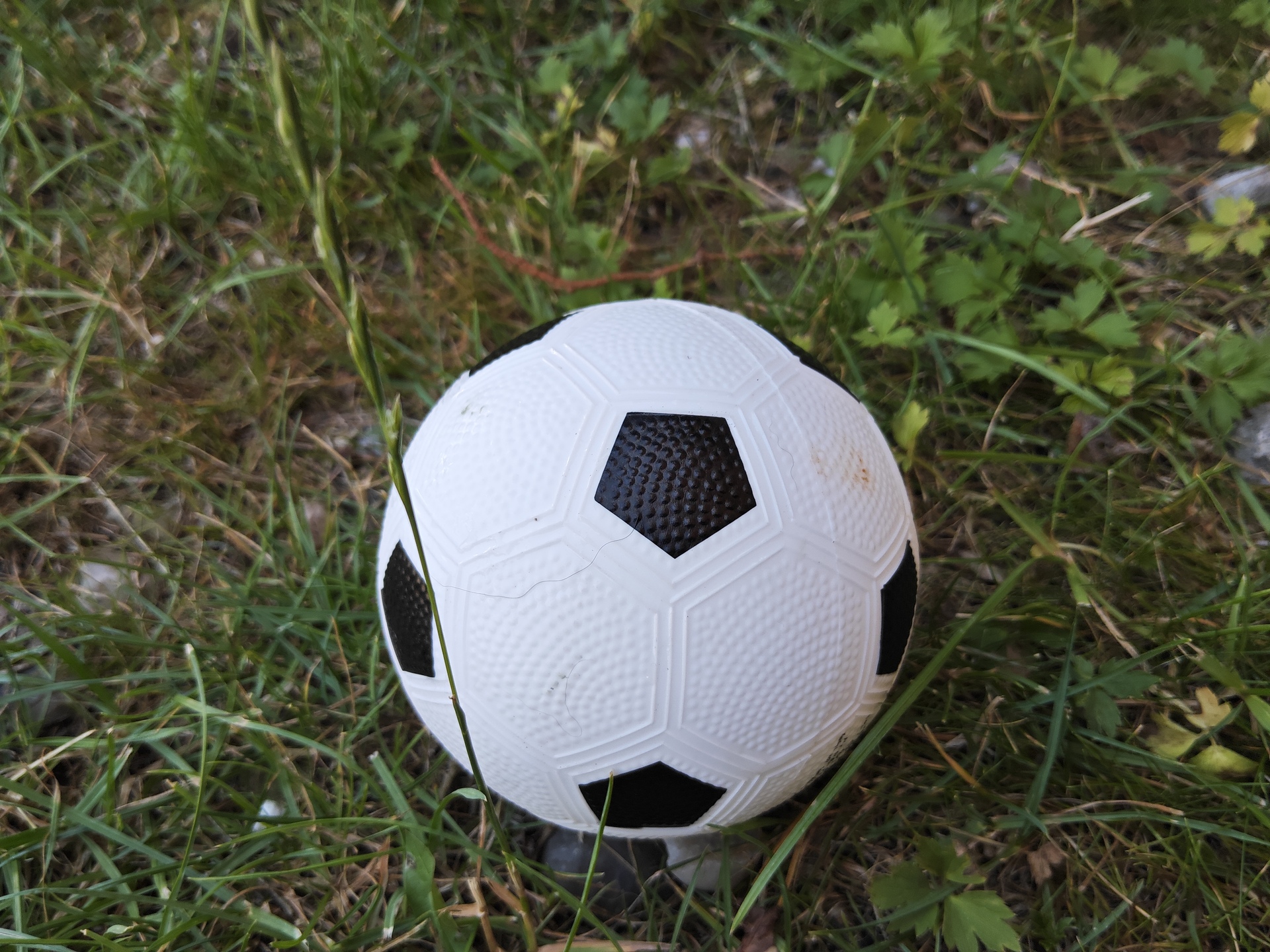 Xiaomi Pad 6S Pro 12.4