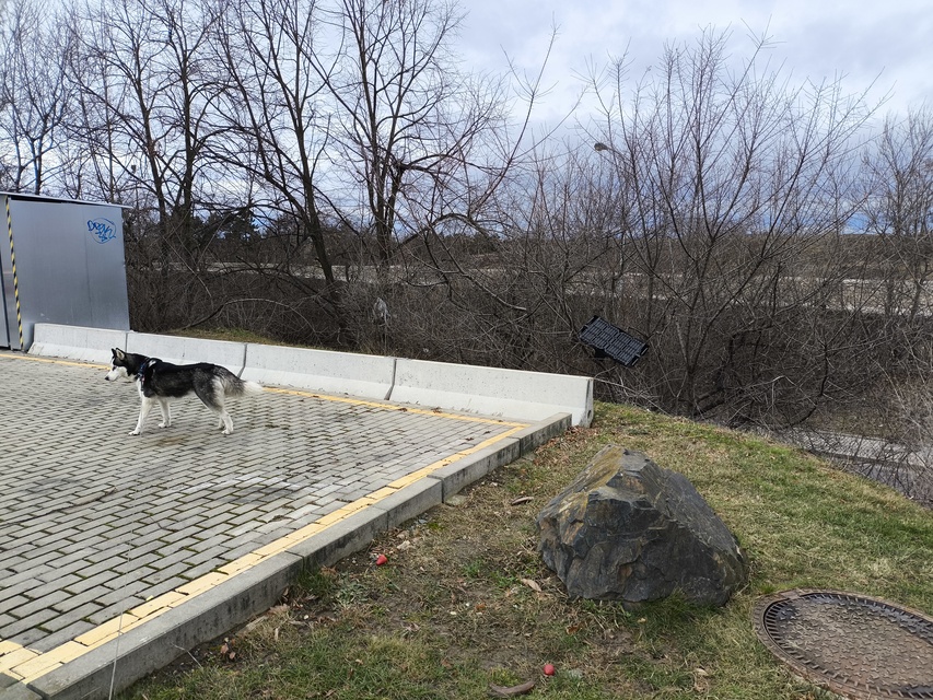 Xiaomi Poco X6 Pro 5G