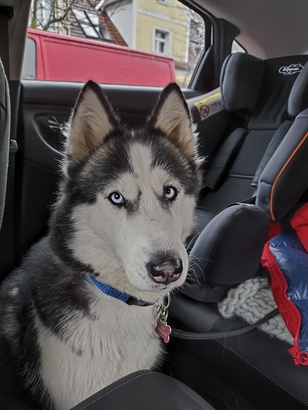 Xiaomi Poco X6 Pro 5G