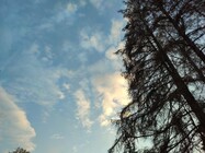 Xiaomi Redmi Note 10 Pro