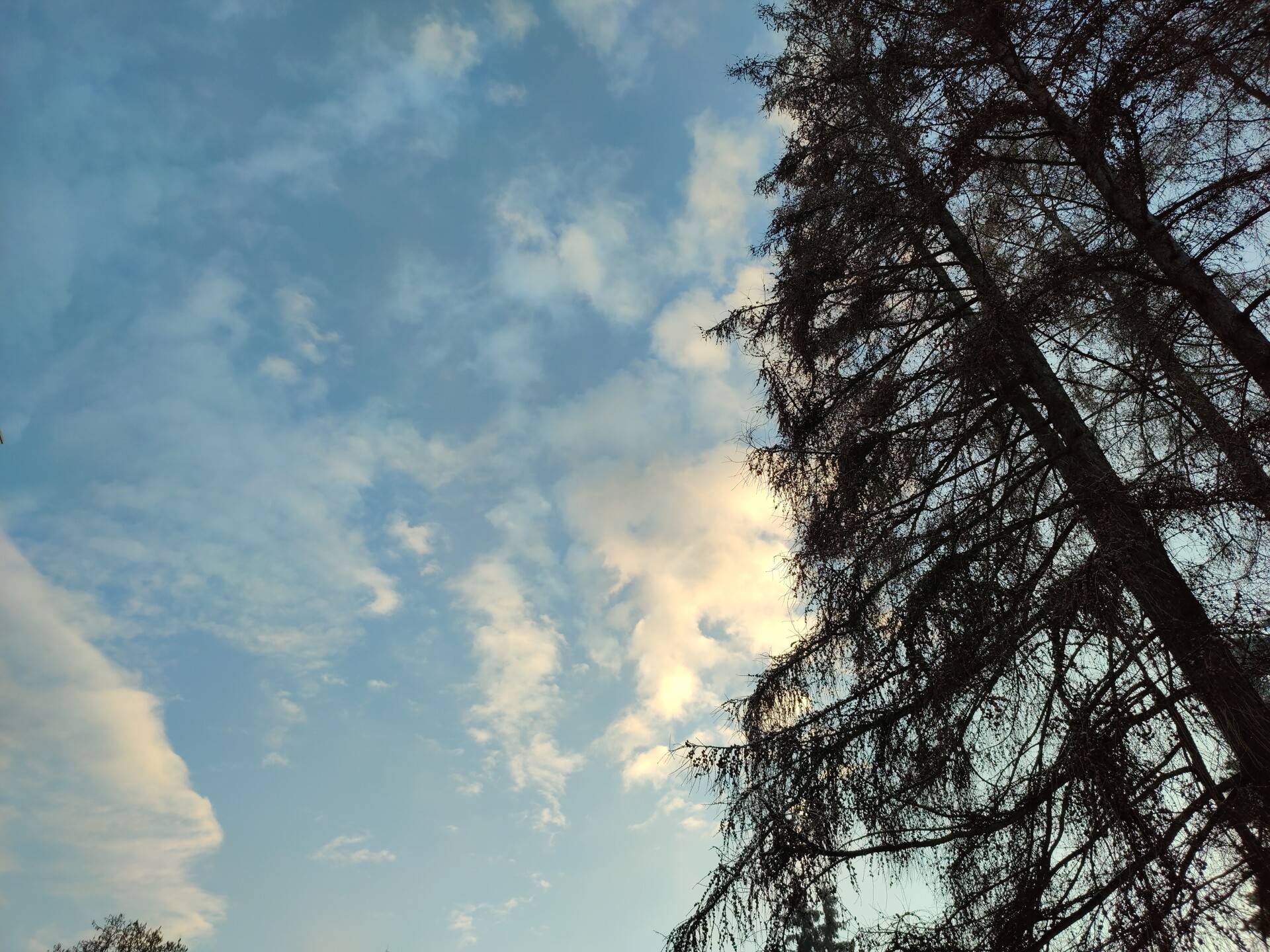 Xiaomi Redmi Note 10 Pro