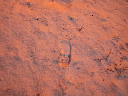 Xiaomi Redmi Note 10 Pro