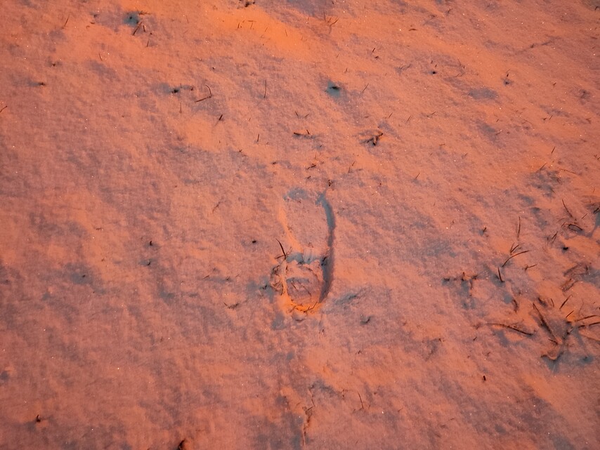 Xiaomi Redmi Note 10 Pro