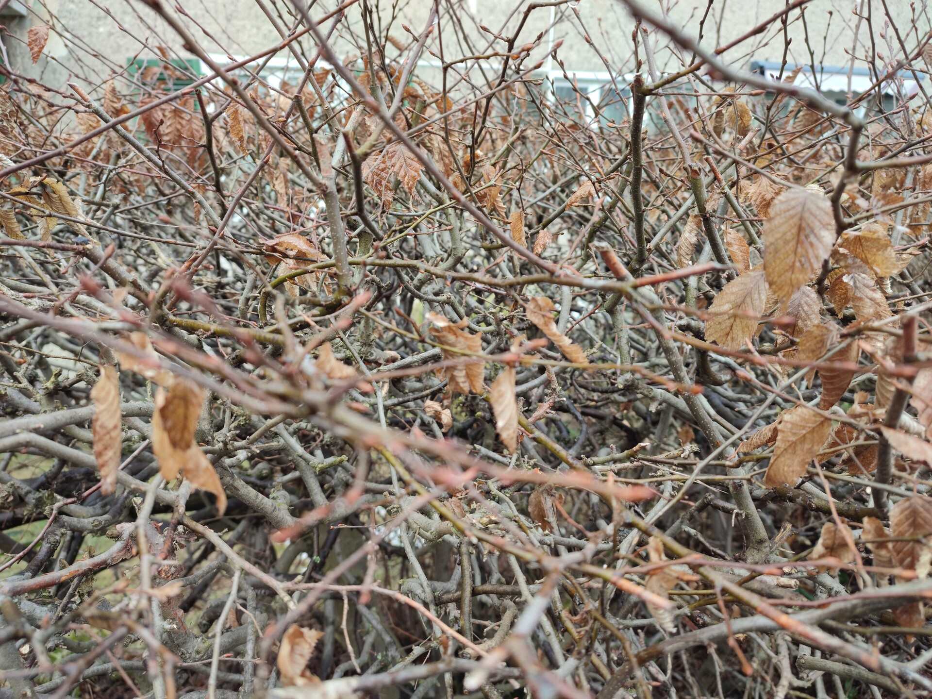 Xiaomi Redmi Note 10 Pro