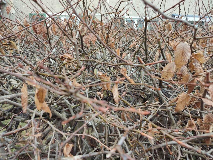 Xiaomi Redmi Note 10 Pro