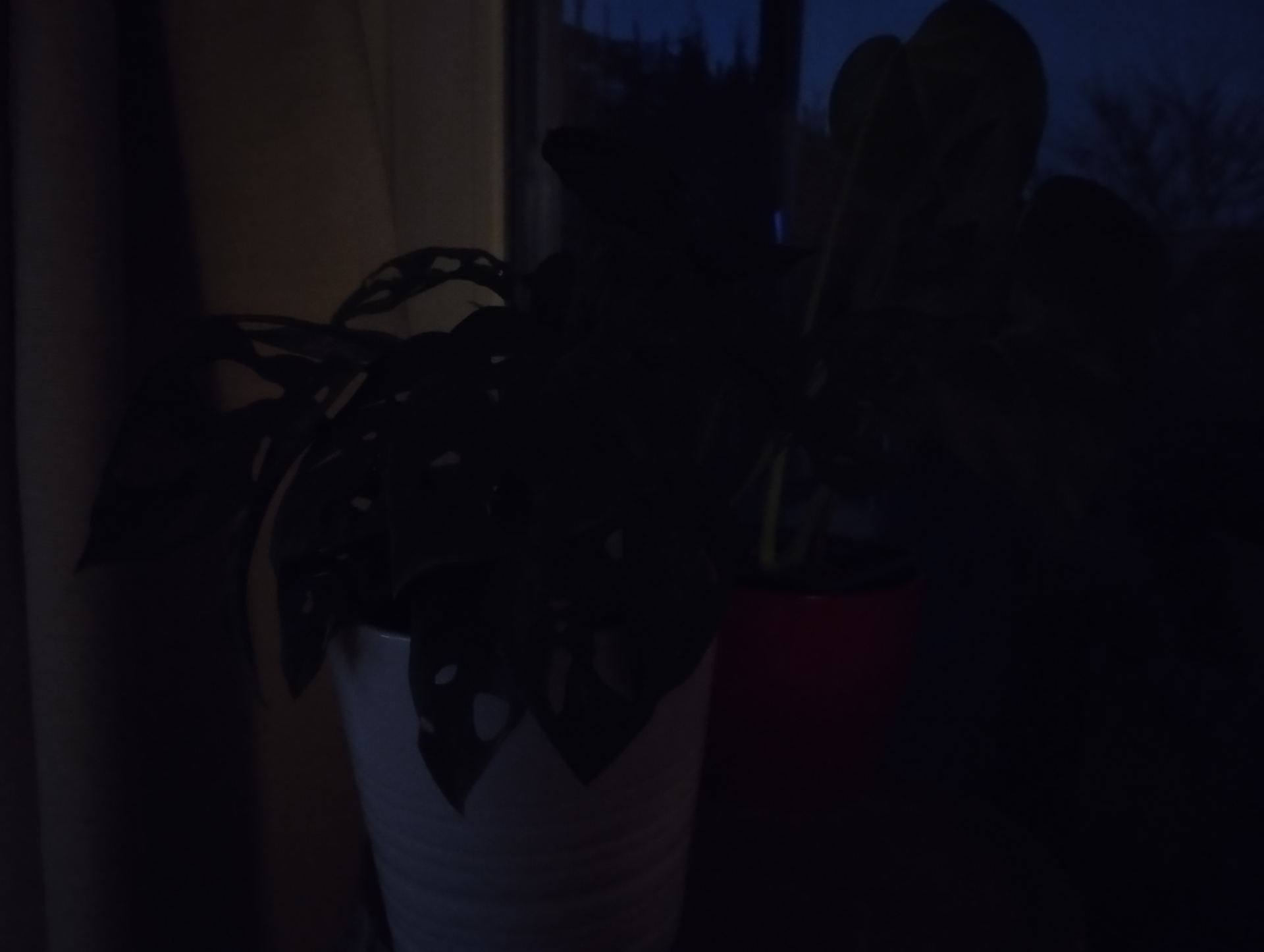 Xiaomi Redmi Note 11