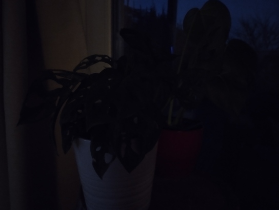 Xiaomi Redmi Note 11