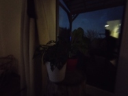 Xiaomi Redmi Note 11