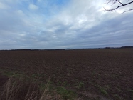 Xiaomi Redmi Note 11