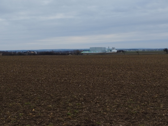 Xiaomi Redmi Note 11