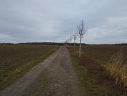 Xiaomi Redmi Note 11