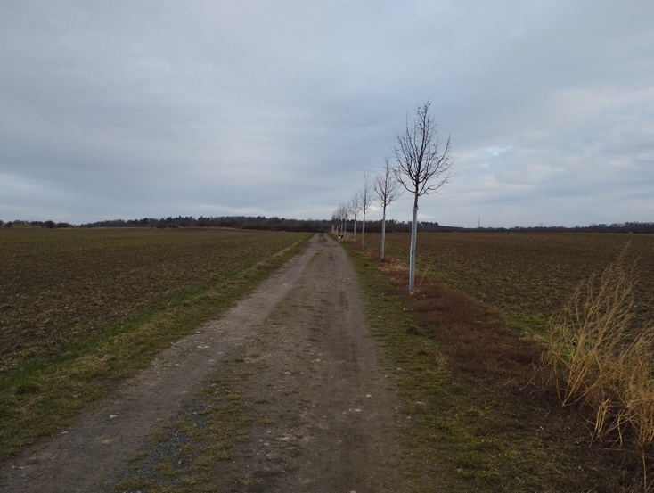 Xiaomi Redmi Note 11