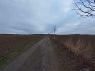 Xiaomi Redmi Note 11