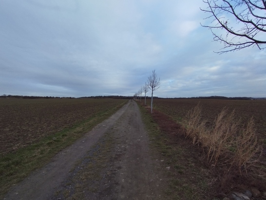 Xiaomi Redmi Note 11