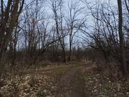 Xiaomi Redmi Note 11